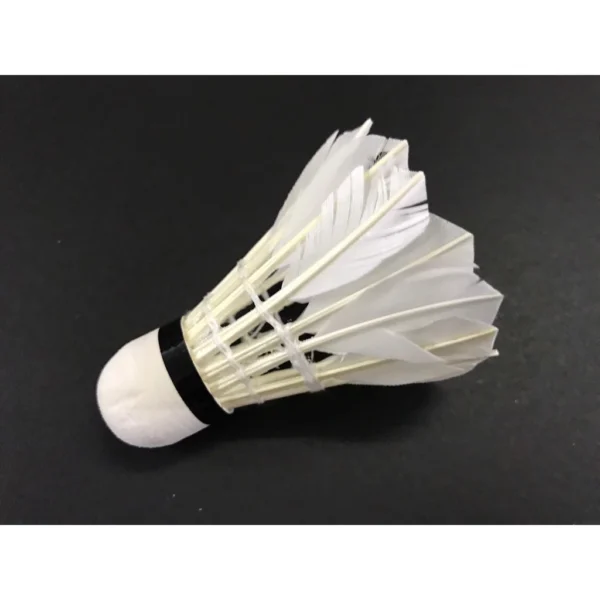 Badminton Shuttlecock 3 pcs Tube