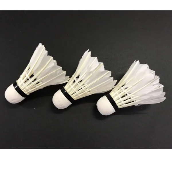 Badminton Shuttlecock 3 pcs Tube