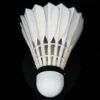 Badminton Shuttlecock 12 pcs Tube