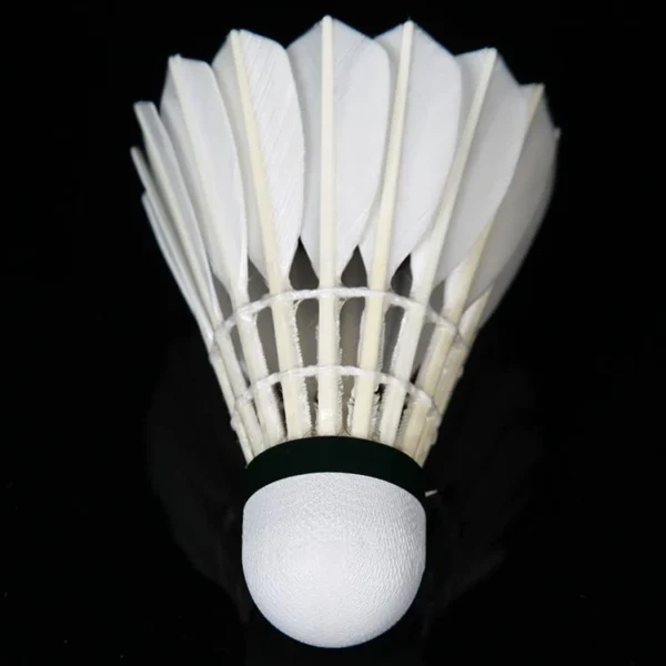 Badminton Shuttlecock 12 pcs Tube