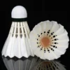 Badminton Shuttlecock 12 pcs Tube