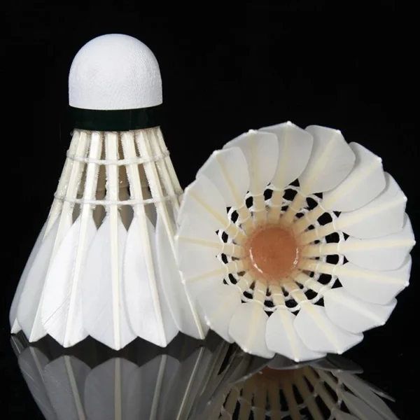Badminton Shuttlecock 12 pcs Tube