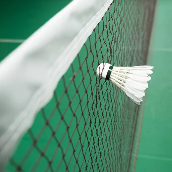 Standard Badminton Mesh Net L610cm W76cm
