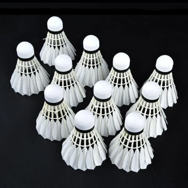 GLASSLYN Badminton Shuttlecock 6Pcs
