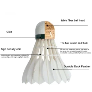 GLASSLYN Badminton Shuttlecock 6Pcs